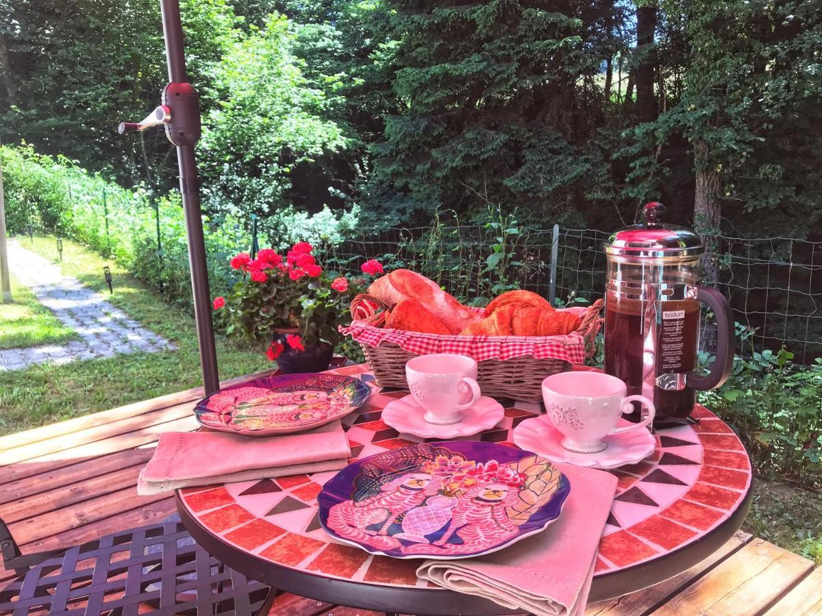 Appartement Au Calme Avec Terrasse Verdoyante Entre Annecy Et Geneve فييِ لو بولو المظهر الخارجي الصورة