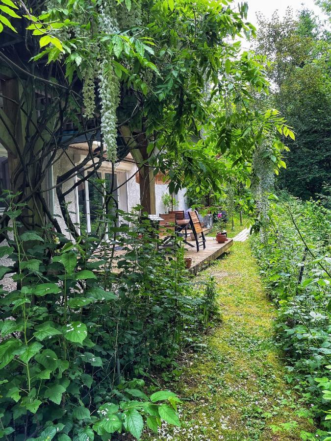 Appartement Au Calme Avec Terrasse Verdoyante Entre Annecy Et Geneve فييِ لو بولو المظهر الخارجي الصورة